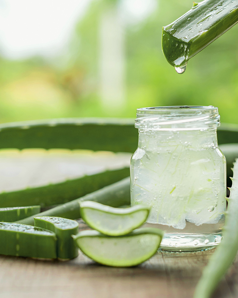 Aloe