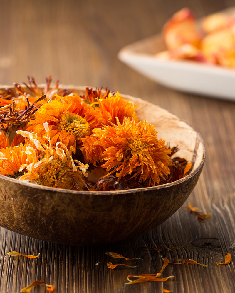 Calendula