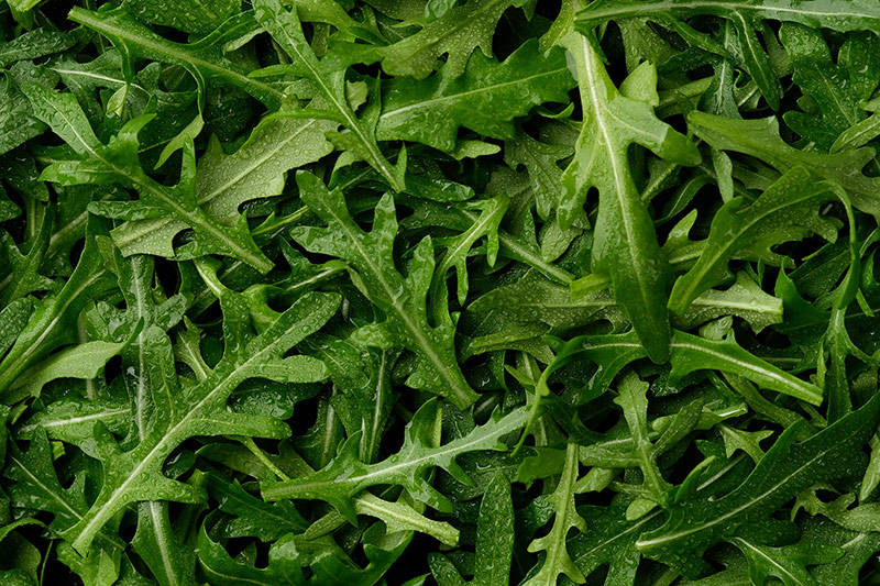 La linea capelli, ispirata da ingredienti naturali