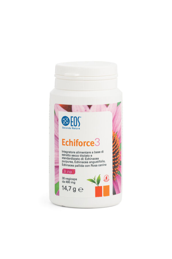 Echiforce3